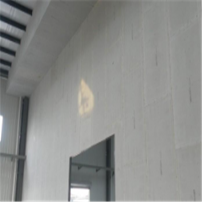 丹寨宁波ALC板|EPS加气板隔墙与混凝土整浇联接的实验研讨